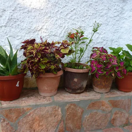 Kostas Apartments&studios Agios Georgios Pagon